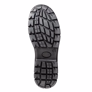 Baltimore Sole