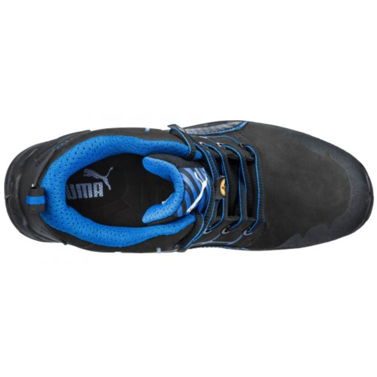 puma-krypton-blue TOP